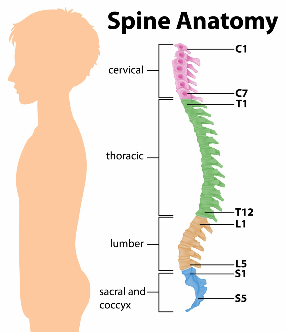 Sleep and Spinal Health