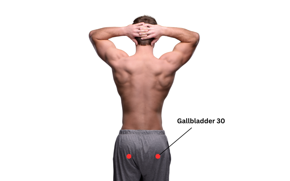 Gallbladder 30